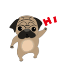 Fat Pug（個別スタンプ：24）