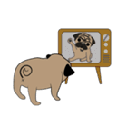 Fat Pug（個別スタンプ：25）