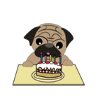 Fat Pug（個別スタンプ：35）