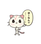 にゃんいしの日常（個別スタンプ：40）