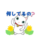 可愛い猫鈴子と寅之助（個別スタンプ：13）