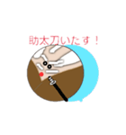 侍G（個別スタンプ：3）