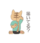 ヨガねこ（個別スタンプ：5）