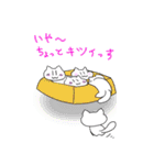 日常会話まんじゅう猫スタンプ（個別スタンプ：25）