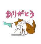 よだれねこの脱力生活（個別スタンプ：23）