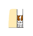 うちのキャバリア（個別スタンプ：37）