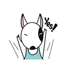 Dolly Bull terrier（個別スタンプ：1）