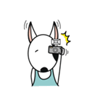 Dolly Bull terrier（個別スタンプ：33）