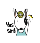Dolly Bull terrier（個別スタンプ：39）
