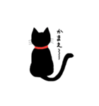 黒猫のリル（個別スタンプ：12）