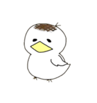 もちぴよと仲間たち（個別スタンプ：1）