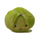 It's a cabbage！  (English ver.)（個別スタンプ：9）