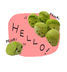 It's a cabbage！  (English ver.)（個別スタンプ：10）