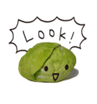 It's a cabbage！  (English ver.)（個別スタンプ：11）