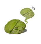 It's a cabbage！  (English ver.)（個別スタンプ：36）