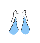 ほんわか白犬（個別スタンプ：11）