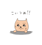 りーまんよしお（個別スタンプ：4）