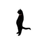 黒猫の大ちゃん（個別スタンプ：9）
