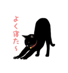 黒猫の大ちゃん（個別スタンプ：13）