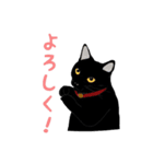 黒猫の大ちゃん（個別スタンプ：17）