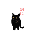 黒猫の大ちゃん（個別スタンプ：23）