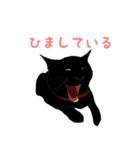 黒猫の大ちゃん（個別スタンプ：26）