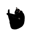 黒猫の大ちゃん（個別スタンプ：29）