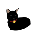 黒猫の大ちゃん（個別スタンプ：30）