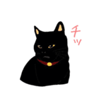 黒猫の大ちゃん（個別スタンプ：31）