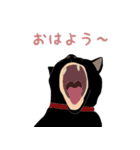 黒猫の大ちゃん（個別スタンプ：33）