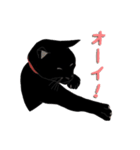 黒猫の大ちゃん（個別スタンプ：40）