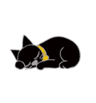 帽子猫キース（個別スタンプ：10）
