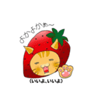 方言猫スタンプ（個別スタンプ：1）