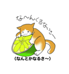 方言猫スタンプ（個別スタンプ：5）