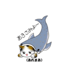 方言猫スタンプ（個別スタンプ：6）