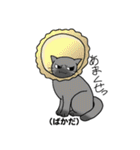 方言猫スタンプ（個別スタンプ：21）