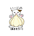 方言猫スタンプ（個別スタンプ：23）