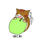 方言猫スタンプ（個別スタンプ：24）