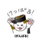方言猫スタンプ（個別スタンプ：27）