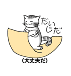 方言猫スタンプ（個別スタンプ：29）