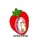 方言猫スタンプ（個別スタンプ：30）