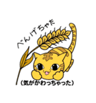 方言猫スタンプ（個別スタンプ：31）