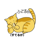 方言猫スタンプ（個別スタンプ：40）