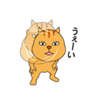 あおりりす（個別スタンプ：1）