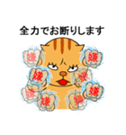 あおりりす（個別スタンプ：6）