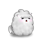 Cloudie: The Fluffy Cloud Cat（個別スタンプ：5）