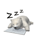 北極熊の赤ちゃん 3Dスタンプ（個別スタンプ：38）