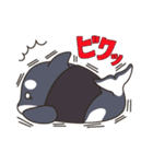 シャッチーとチャッピー（個別スタンプ：15）