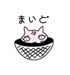 関西弁ピンクネコ ときどきネズミ（個別スタンプ：9）