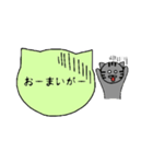 シンプル猫ボード ～学生編～（個別スタンプ：5）